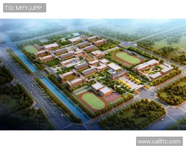 独家解析杭州羽毛球队实力对比及未来发展潜力分析